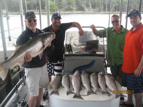 Nice Striped Bass